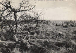 Région MALMEDY  WAIMES HAUTES FAGNES - Waimes - Weismes