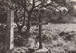 Région MALMEDY  WAIMES HAUTES FAGNES - Weismes