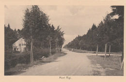 Région MALMEDY  WAIMES HAUTES FAGNES   MONT RIGI - Weismes