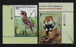 BIELORRUSIA /BELARÚS /WEISSRUSSLAND - EUROPA 2021-"ENDANGERED NATIONAL WILDLIFE"- SERIE De 2 V. - CH - EUR - 2021