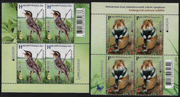 BIELORRUSIA /BELARÚS /WEISSRUSSLAND - EUROPA 2021-"ENDANGERED NATIONAL WILDLIFE"- 2 BLOQUES De 4 - 2021