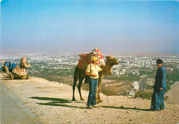Delcampe - CPSM Agadir-Baie-Beau Timbre   L682 - Agadir