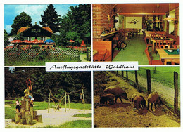 Ansichtskarte Amberg, Ausflugsgaststätte Waldhaus, - Amberg