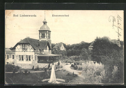 AK Bad Liebenwerda, Eisenmoorbad Mit Parkanlage - Bad Liebenwerda