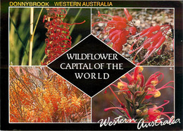 CPSM Donnybrook-Western Australia-Wildflower Capital Of The World-Beau Timbre      L684 - Autres & Non Classés