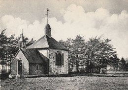 Région MALMEDY  WAIMES  HAUTES FAGNES   MONT RIGI   BARAQUE MICHEL - Weismes