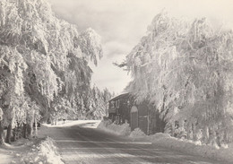 Région MALMEDY  WAIMES  HAUTES FAGNES   MONT RIGI   BARAQUE MICHEL - Waimes - Weismes