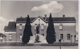 ZELE  MONUMENT DER GESNEUVELDEN    FOTOKAART - Zele