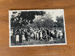 Ravels-O.L.Vrouw Van De Kempen-Open-lucht-school Voor Zwakke Meisjes- Aangename Verposing In De Fruithof - Ravels