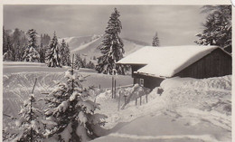 AK Oberstaufen - Allgäu - Skihütte Der Häderichfreunde  (56648) - Oberstaufen