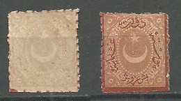 Turkey; 1872 Duloz Due Stamp 5 K. ERROR "Set-off Printing Of The Design On Back" (Border&Overprint In Brick) - Ungebraucht