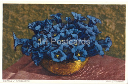 Enzian - Gentianes - Flowers - J. Gaberell - Old Postcard - Switzerland - Used - Blumen