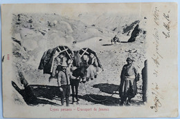 C. P. A. : IRAN : Types Persans, Transport De Femmes, Timbre En 1905 - Iran