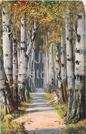 Birch Alley - Illustration By M Trube - Truebe - Series 1173 - Old Postcard - Unused - Trübe, Maxim