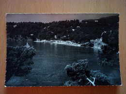 Le Rayol, Vue Générale De La Plage (10788) - Rayol-Canadel-sur-Mer