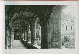 79-411 - DEUX SEVRES - CELLE SUR BELLE - Cloître De L'Abbaye - Carte Photo De Maurice Couvrat - Celles-sur-Belle