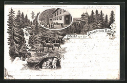 Lithographie Hasserode, Restaurant An Der Steinernen Renne, Zwerge Und Rehe Im Wald - Other & Unclassified