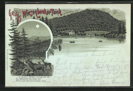 Mondschein-Lithographie Bad Lauterberg I. Harz, Wiesenbeeker-Teich - Bad Lauterberg