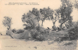 CPA 17 ILE D'OLERON LE CHATEAU LE MAIL DANS LES TAMARINS - Ile D'Oléron