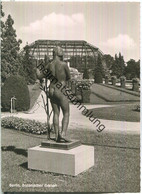 Berlin - Im Botanischen Garten - Foto-Ansichtskarte - Ohne Verlagsangabe 50er Jahre - Dahlem