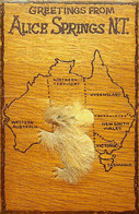 (Booklet 129) Australia - NT- Alice Springs - Wooden Postcard With "koala" Fur - Alice Springs