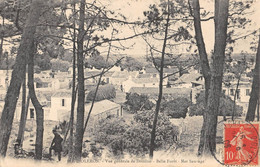 CPA 17 ILE D'OLERON VUE GENERALE DE DOMINO BELLE FORET MER SAUVAGE - Ile D'Oléron