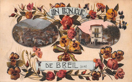 Un Bonjour De BREIL - Double Vue En Forme De Lunettes + Fleurs - Breil-sur-Roya