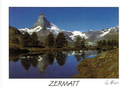 Lot   - Suisse - Environ 210 Cartes (870 Gr) - 100 - 499 Postcards