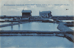 CPA 17 LA TREMBLADE ETABLISSEMENT OSTREICOLES PHELIPOT FRERES - La Tremblade