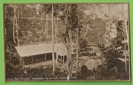 Angola - Roça Boa Entrada - Instalações De Serração Mecânica, 1925 - Angola