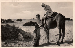 Egypte, Egypt: Rest In The Desert - Edition Lehnert & Landrock - Carte N° 296 Non Circulée - Other & Unclassified