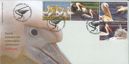 ANIMALS, BIRDS, PELICANS, COVER FDC, 2015, ROMANIA - Pélicans