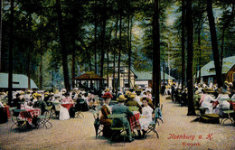 Ilsenburg A. Harz, Kurpark. - Ilsenburg