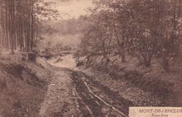 MONT DE L'ENCLUS   SOUS BOIS - Kluisbergen