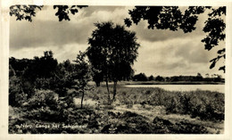 NORD Langs Het Schipmeer  DRENTHE HOLLAND HOLANDA NETHERLANDS - Norg