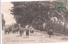 CPA - Viroflay - Un Coin Champêtre - Viroflay