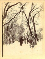 080621A - PHOTO ANCIENNE 1910 - ALGERIE SETIF Effet De Neige Allée D'arbres - Sétif