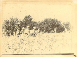 080621A - PHOTO ANCIENNE 1911 - ALGERIE SETIF La Moisson Travaux Agricoles - Sétif