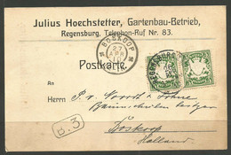 GERMANY / BAVARIA / NETHERLANDS. 1910. CARD. REGENSBURG TO BOSKOOP. JULIUS HOECHSTETTER – HORTICULTURE / GARDENING - Bavaria