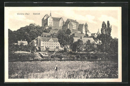 AK Colditz, Blick Auf Das Schloss - Colditz