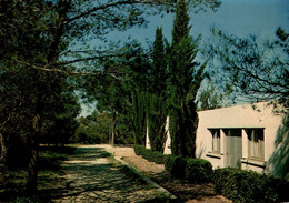 Le Pradet Village Vacances Familles L'artaude 1984    CPM Ou CPSM - Le Pradet