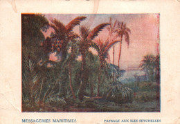 Edition Messageries Maritimes - Illustration: Paysage Aux Iles Seychelles, Palmiers - Andere & Zonder Classificatie
