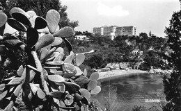 CAP D'AIL - La Plage Mala Et L'Eden - Cactus - Cap-d'Ail