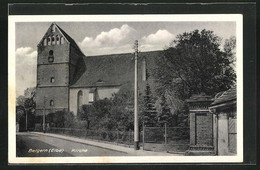 AK Belgern / Elbe, Blick Auf Die Kirche - Belgern