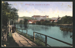 AK Colditz I. Sa., Promenade An Der Mulde - Colditz