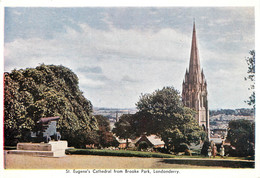 CPSM St.Eugene's Cathedral From Brooke Park-Londonderry City    L691 - Londonderry