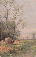 A8029-  PEASANT WORKERS ON THE FIELD, HORSES CARRY HAY, ILLUSTRATION SIGNED BY KAUFFMAN VINTAGE POSTCARD - Kauffmann, Paul