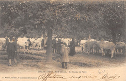 CPA 18 CHATEAUMEILLANT LE CHAMP DE FOIRE - Châteaumeillant