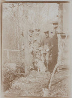 2 PHOTOS ALLEMANDES - GUERRE 14-18 - POSITIONS EN FORÊT - Guerre 1914-18