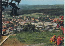 WEIZ , Elinstadt;   Panorama - Weiz